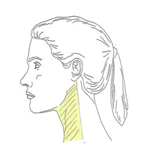 Load image into Gallery viewer, Anterior Or Posterior Neck