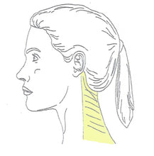 Load image into Gallery viewer, Anterior Or Posterior Neck