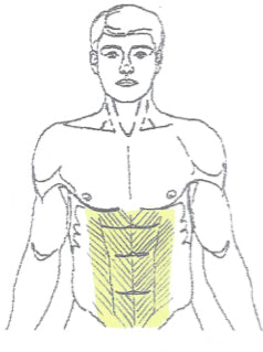 Abdomen Laser Hair Removal