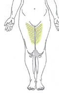 Anterior Inner Thigh Laser Hair Removal