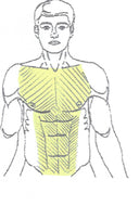Chest & Abs Laser Hair Removal