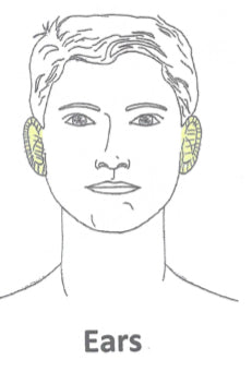 Ears Laser Hair Removal
