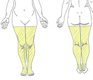 Full Legs Laser Hair Removal
