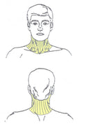 Full Neck Laser Hair Removal