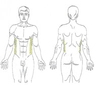 Obliques Laser Hair Removal