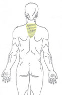 Upper Thoracic Spine Laser Hair Removal
